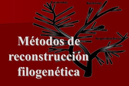 Métodos de reconstrucción filogenética