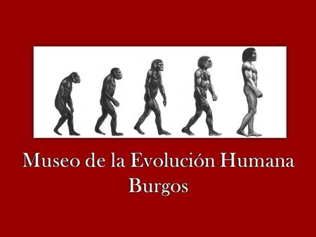 El Museo de la Evolución Humana, también conocido por sus siglas MEH, está situado en la ciudad española de Burgos y ha sido diseñado por el arquitecto.