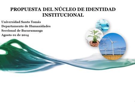 PROPUESTA DEL NÚCLEO DE IDENTIDAD INSTITUCIONAL Universidad Santo Tomás Departamento de Humanidades Seccional de Bucaramanga Agosto 01 de 2014.