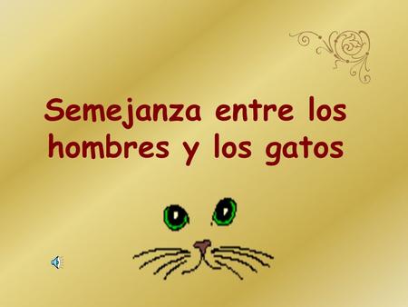 Semejanza entre los hombres y los gatos