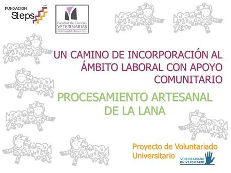 UN CAMINO DE INCORPORACIÓN AL ÁMBITO LABORAL CON APOYO COMUNITARIO PROCESAMIENTO ARTESANAL DE LA LANA Proyecto de Voluntariado Universitario.