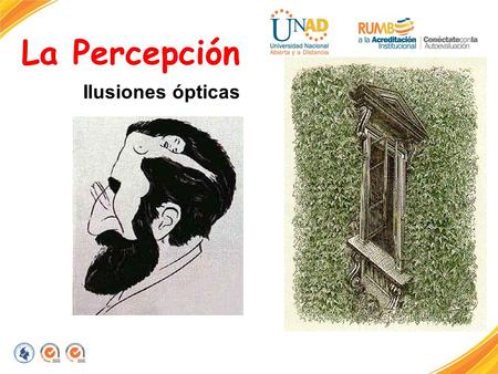La Percepción Ilusiones ópticas.
