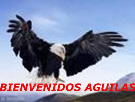 BIENVENIDOS AGUILAS.