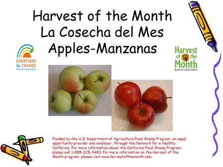 Harvest of the Month La Cosecha del Mes Apples-Manzanas Funded by the U.S. Department of Agriculture Food Stamp Program, an equal opportunity provider.