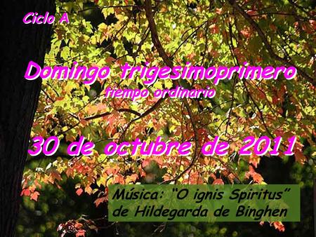 Ciclo A Domingo trigesimoprimero tiempo ordinario Domingo trigesimoprimero tiempo ordinario 30 de octubre de 2011 Música: “O ignis Spiritus” de Hildegarda.