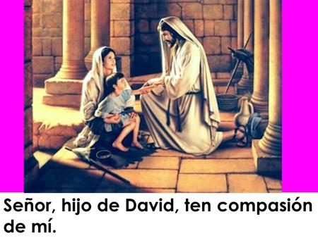 Señor, hijo de David, ten compasión de mí. Aunque las mies no han dado fruto y la higuera no ha florecido, aún mantengo la esperanza mía!