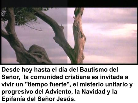 Desde hoy hasta el día del Bautismo del Señor, la comunidad cristiana es invitada a vivir un tiempo fuerte, el misterio unitario y progresivo del Adviento,