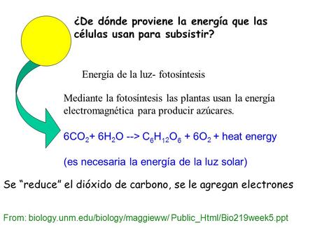 6CO 2 + 6H 2 O --> C 6 H 1 2 O 6 + 6O 2 + heat energy (es necesaria la energía de la luz solar) Se “reduce” el dióxido de carbono, se le agregan electrones.