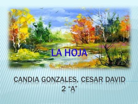 CANDIA GONZALES, CESAR DAVID 2 “A”