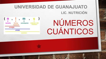 Universidad de Guanajuato Lic. Nutrición