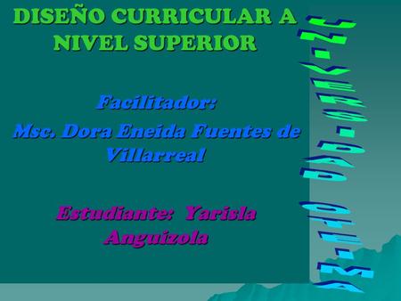 DISEÑO CURRICULAR A NIVEL SUPERIOR