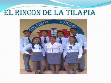 EL RINCON DE LA TILAPIA.