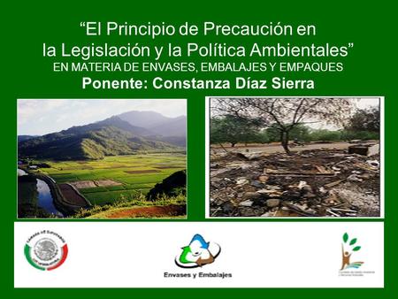 “El Principio de Precaución en la Legislación y la Política Ambientales” EN MATERIA DE ENVASES, EMBALAJES Y EMPAQUES Ponente: Constanza Díaz Sierra.