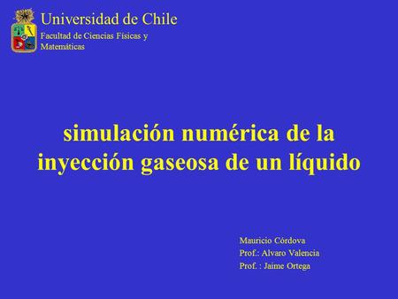 simulación numérica de la inyección gaseosa de un líquido