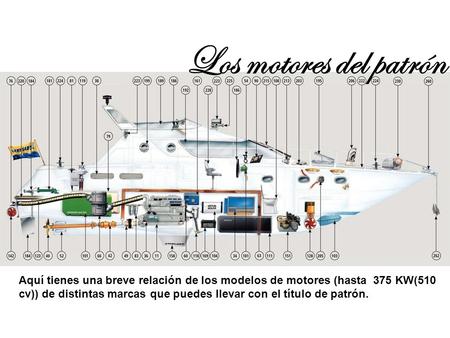 Los motores del patrón Aquí tienes una breve relación de los modelos de motores (hasta 375 KW(510 cv)) de distintas marcas que puedes llevar con el título.