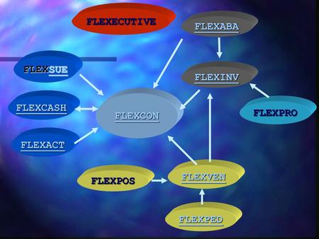 FLEXECUTIVE FLEXABA FLEXSUE FLEXINV FLEXCON FLEXCASH FLEXPRO FLEXACT