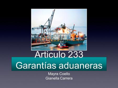 Articulo 233 Garantías aduaneras