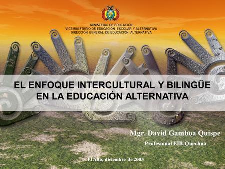 Mgr. David Gamboa Quispe Profesional EIB-Quechua