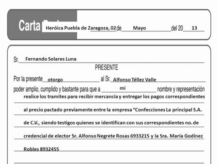 Heróica Puebla de Zaragoza, 02 Mayo 13 Fernando Solares Luna otorgoAlfonso Téllez Valle mi realice los tramites para recibir mercancía y entregar los pagos.