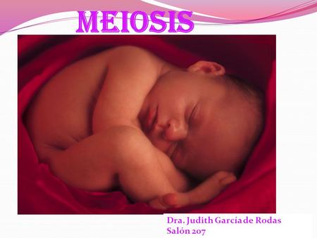 Meiosis Dra. Judith García de Rodas Salón 207.