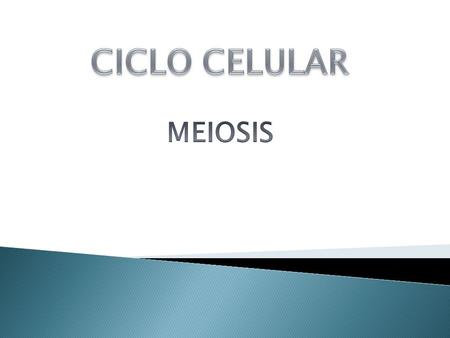 CICLO CELULAR MEIOSIS.