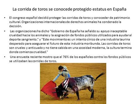 La corrida de toros se conocede protegido estatus en España El congreso español decidió proteger las corridas de toros y conoceder de patrimonio cultural.
