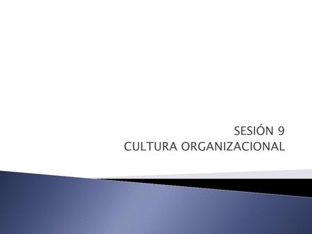 SESIÓN 9 CULTURA ORGANIZACIONAL