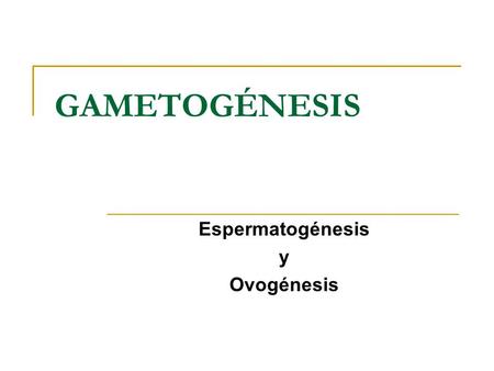 Espermatogénesis y Ovogénesis
