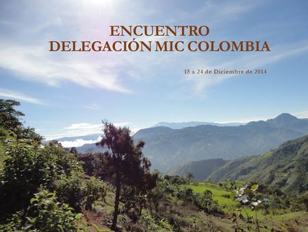 ENCUENTRO DELEGACIÓN MIC COLOMBIA 15 a 24 de Diciembre de 2014.