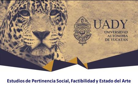 Estudios de Pertinencia Social, Factibilidad y Estado del Arte