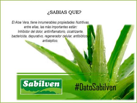 #DatoSabilven ¿SABIAS QUE? ¿SABIAS QUE?