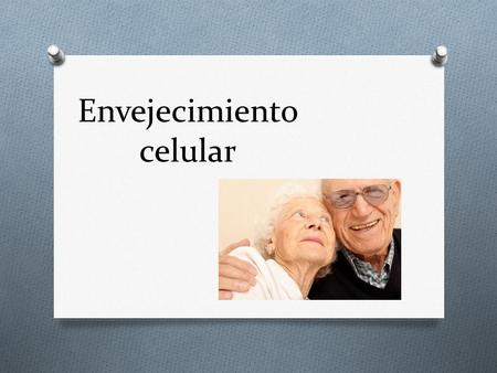 Envejecimiento celular. O un deterioro progresivo de la función y viabilidad de las células, causado por alteraciones genéticas y por la acumulación de.
