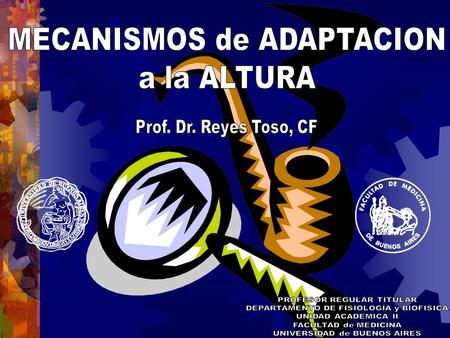 ACLIMATACIÓN  COMPRENDE EL CONJUNTO DE MECANISMOS FISIOLOGICOS QUE PERMITEN ADECUAR AL ORGANISMO A LA HIPOBARIA Y QUE SE DESARROLLAN EN UN LAPSO VARIABLE.