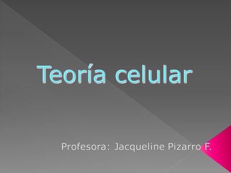 Profesora: Jacqueline Pizarro F.