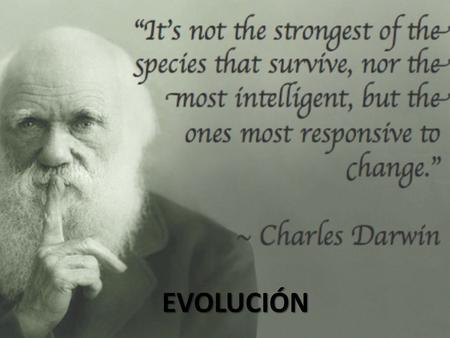 EVOLUCIÓN.