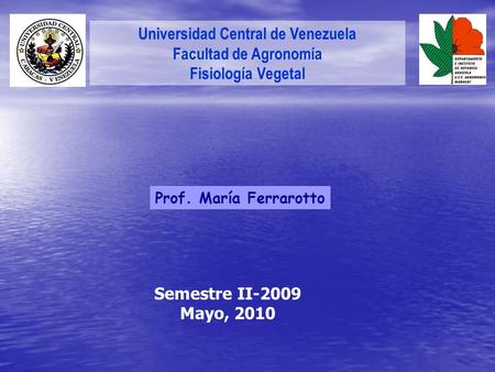 Universidad Central de Venezuela Facultad de Agronomía Fisiología Vegetal Prof. María Ferrarotto Semestre II-2009 Mayo, 2010.