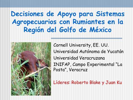 Decisiones de Apoyo para Sistemas Agropecuarios con Rumiantes en la Región del Golfo de México Cornell University, EE. UU. Universidad Autónoma de Yucatán.