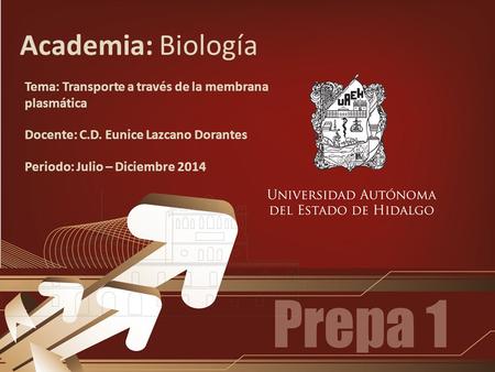 Academia: Biología Tema: Transporte a través de la membrana plasmática Docente: C.D. Eunice Lazcano Dorantes Periodo: Julio – Diciembre 2014.