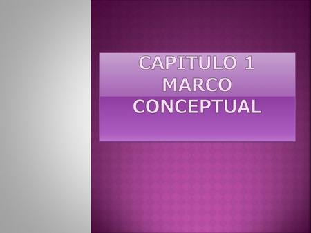 Capitulo 1 Marco conceptual