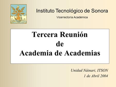 Tercera Reunión de Academia de Academias Unidad Náinari, ITSON 1 de Abril 2004 Instituto Tecnológico de Sonora Vicerrectoría Académica.