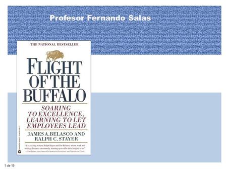 Profesor Fernando Salas 1 de 19. Agenda Introducción ¿Cómo hacer que el búfalo vuele? Casos El cliente Conclusiones 2 de 20.