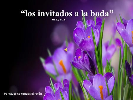 Mt 22, 1-14 “los invitados a la boda” Por favor no toques el ratón.