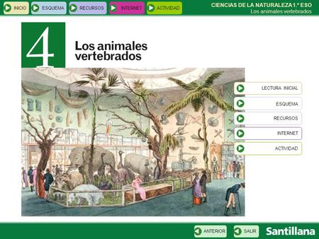 ESQUEMA CIENCIAS DE LA NATURALEZA 1.º ESO Los animales vertebrados