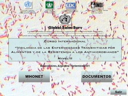 Buenos Aires, Argentina - Setiembre 2001 WHO Collaborating Centre for Foodborne Disease Surveillance, Atlanta, USA Instituto Nacional de Enfermedades Infecciosas.