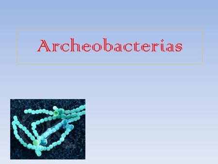Archeobacterias.
