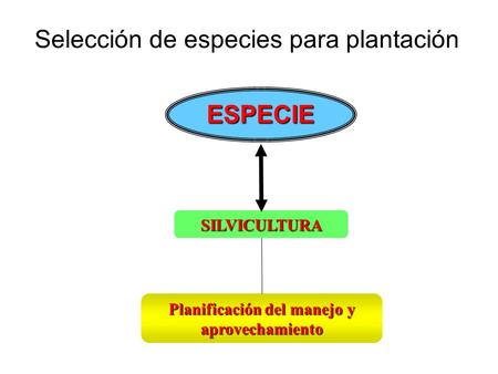 Selección de especies para plantación