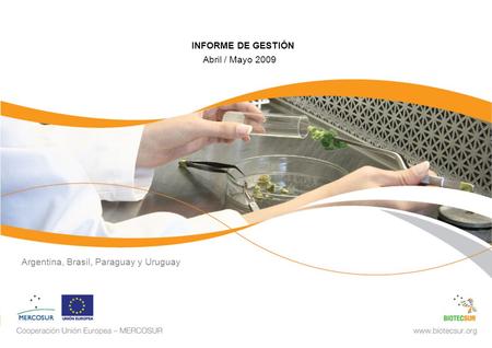 INFORME DE GESTIÓN Abril / Mayo 2009 Argentina, Brasil, Paraguay y Uruguay.