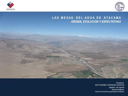 Preparado por: KATTHERINE FERRADA FUENTES Ingeniera Civil Agrícola Directora Regional Dirección General de Aguas Región de Atacama L A S M E S A S D E.