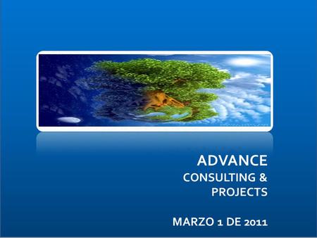 ADVANCE CONSULTING & PROJECTS MARZO 1 DE 2011. NOSOTROS SOMOS Un grupo de consultoría, conformado por un equipo interdisciplinario de ejecutivos y profesionales,