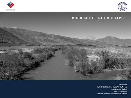 Preparado por: KATTHERINE FERRADA FUENTES Ingeniera Civil Agrícola Directora Regional Dirección General de Aguas Región de Atacama C U E N C A D E L R.